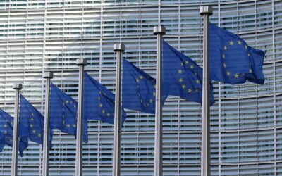 The new EU Regulation on Foreign Direct Investment Screening